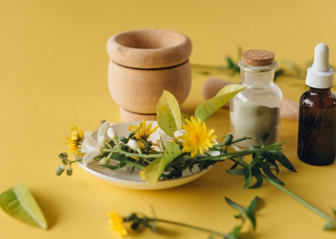 Ayurvedic Homeopathic Colleges: A Smart Move for Education