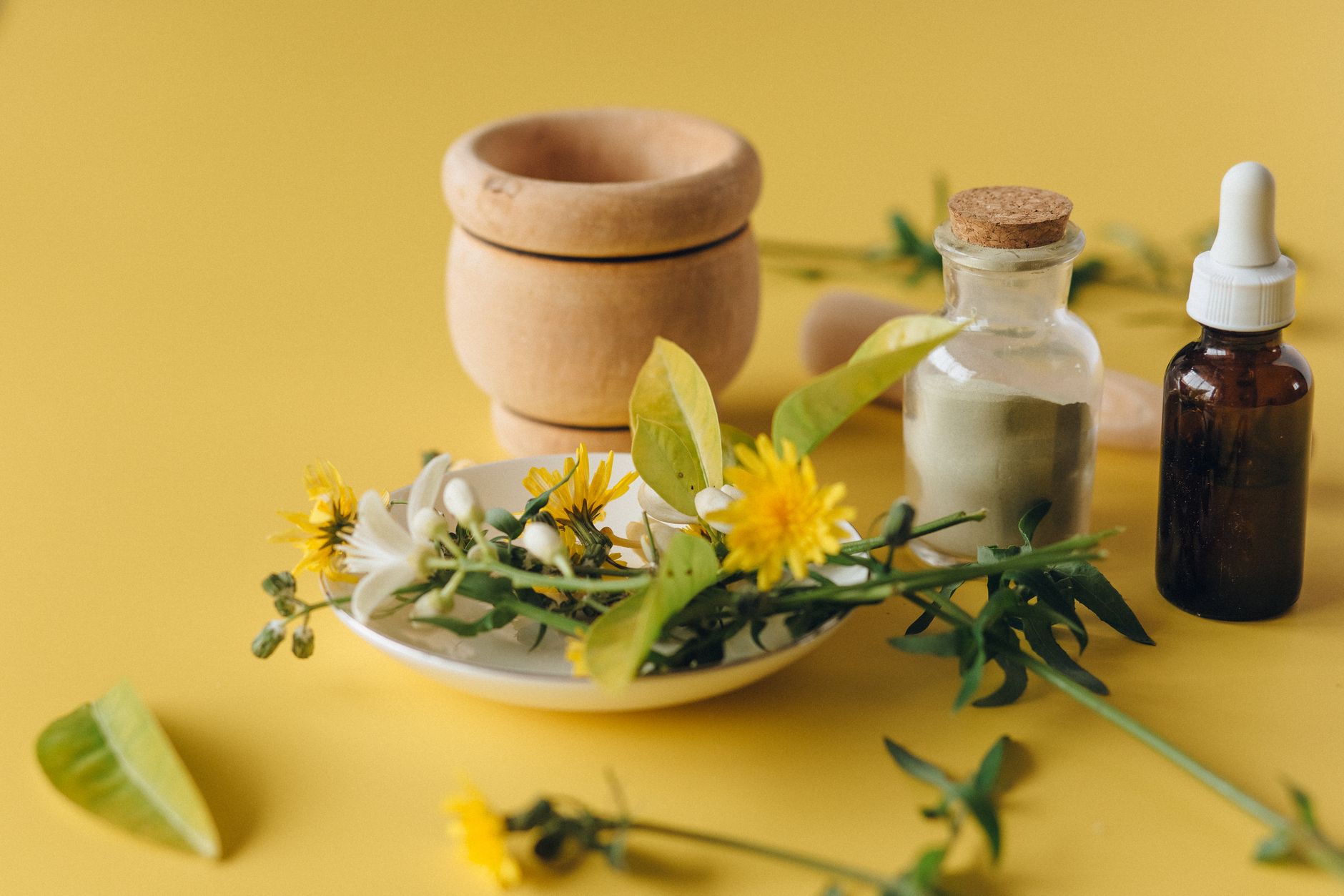 Ayurvedic Homeopathic Colleges: A Smart Move for Education