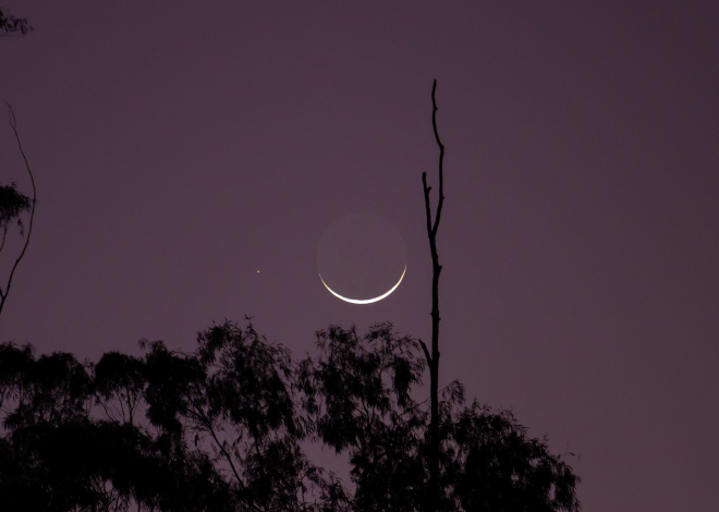 Venus Moon Spica: The Best Guide to Tonight’s Sky