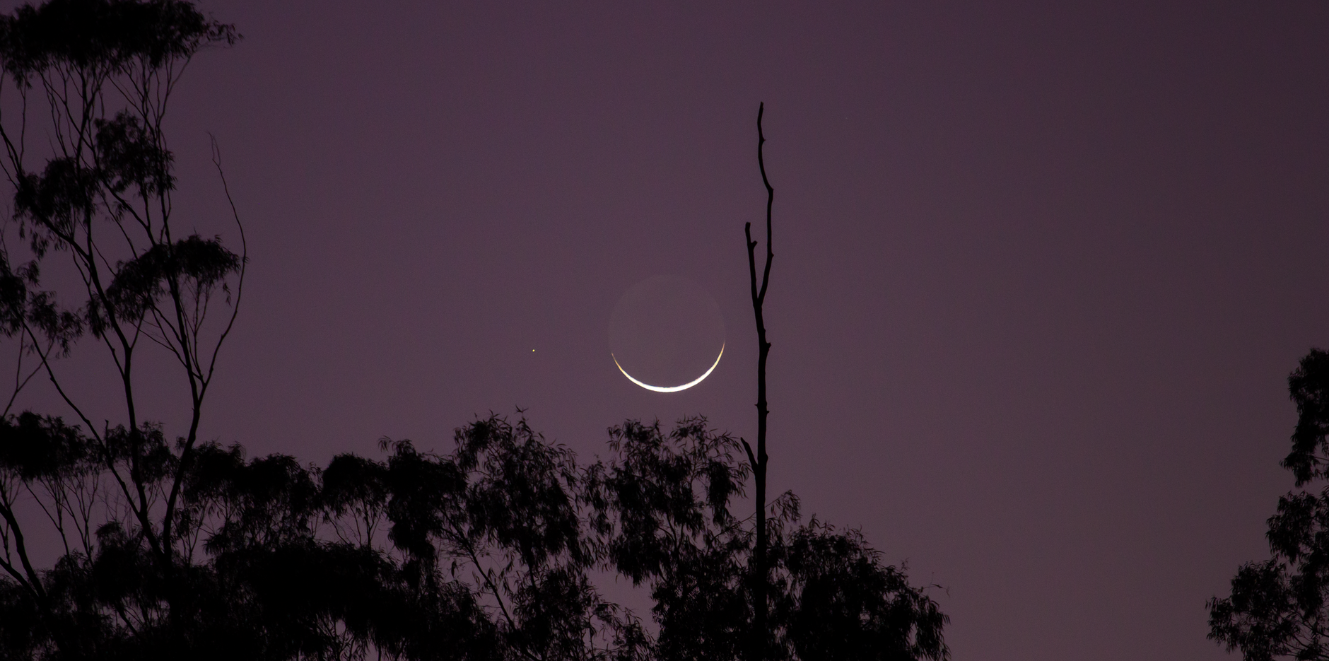 Venus Moon Spica: The Best Guide to Tonight’s Sky