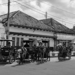 ban horse-drawn carriages