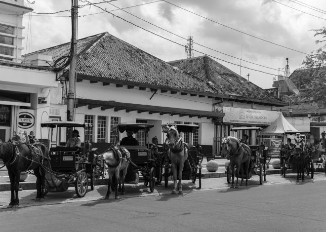 Is the ban on horse-drawn carriages a smart move?