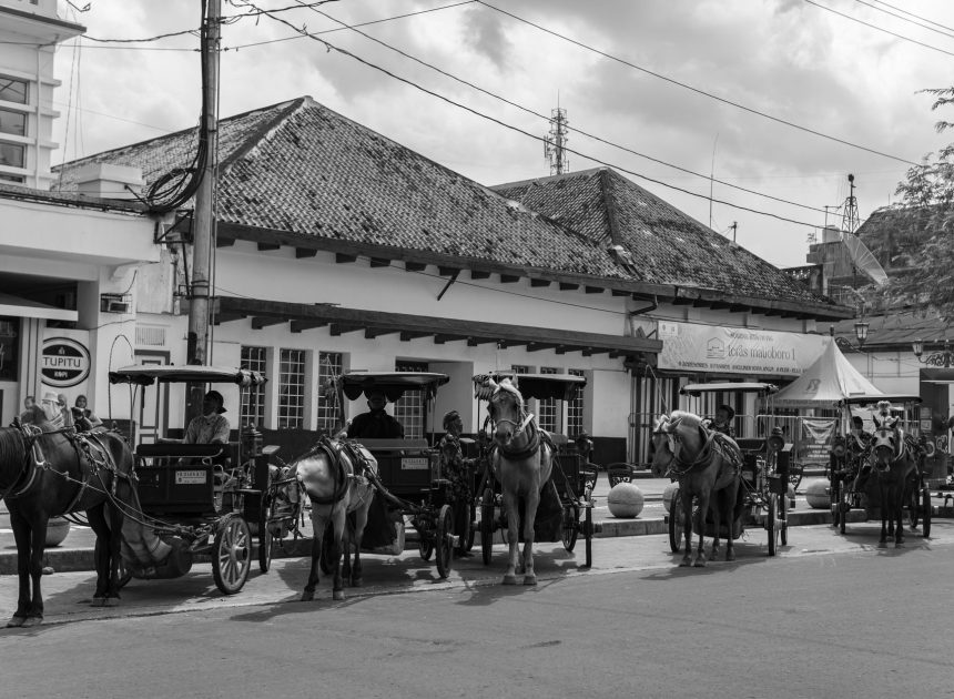 Is the ban on horse-drawn carriages a smart move?