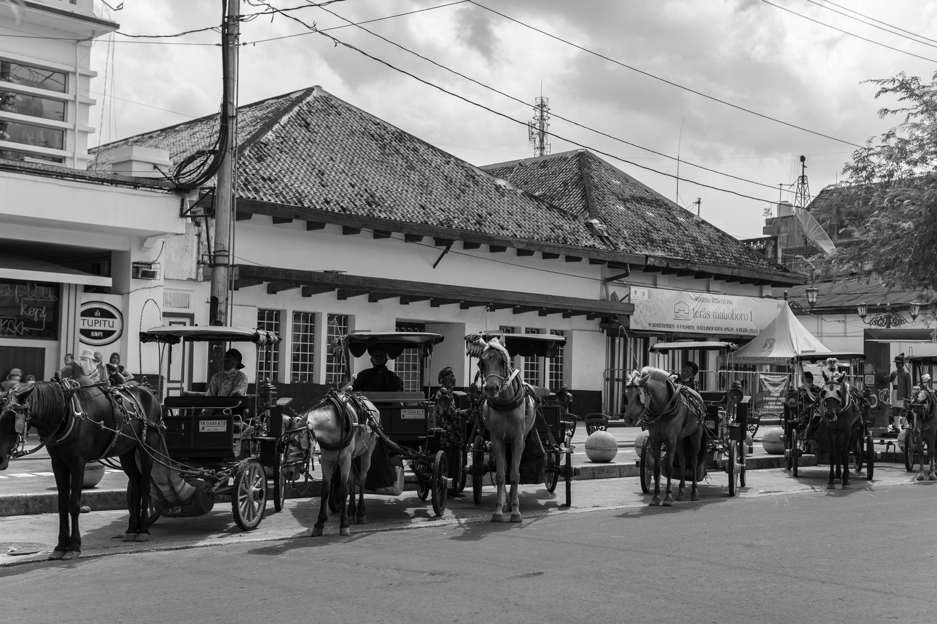 Is the ban on horse-drawn carriages a smart move?