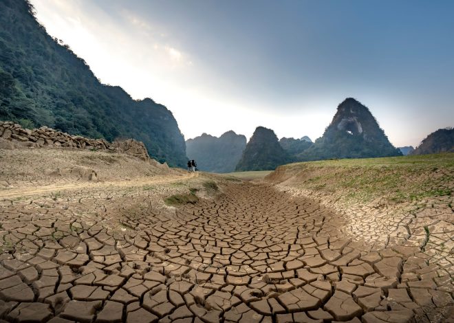 Is the drought relief package the best aid for farmers?