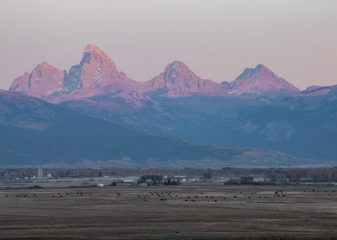 Wyoming news recap: The Best Highlights and Updates Today